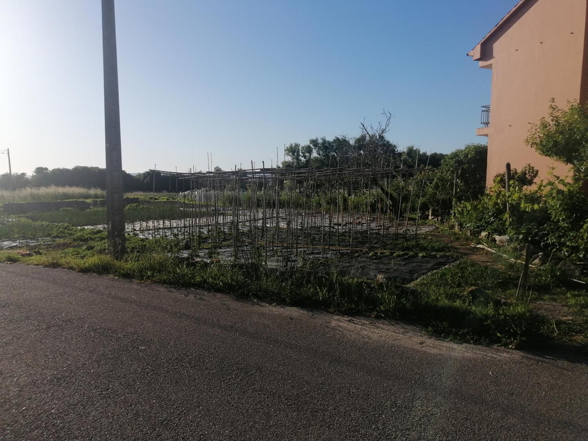 Casa Reboredo بونتيفيذرا المظهر الخارجي الصورة
