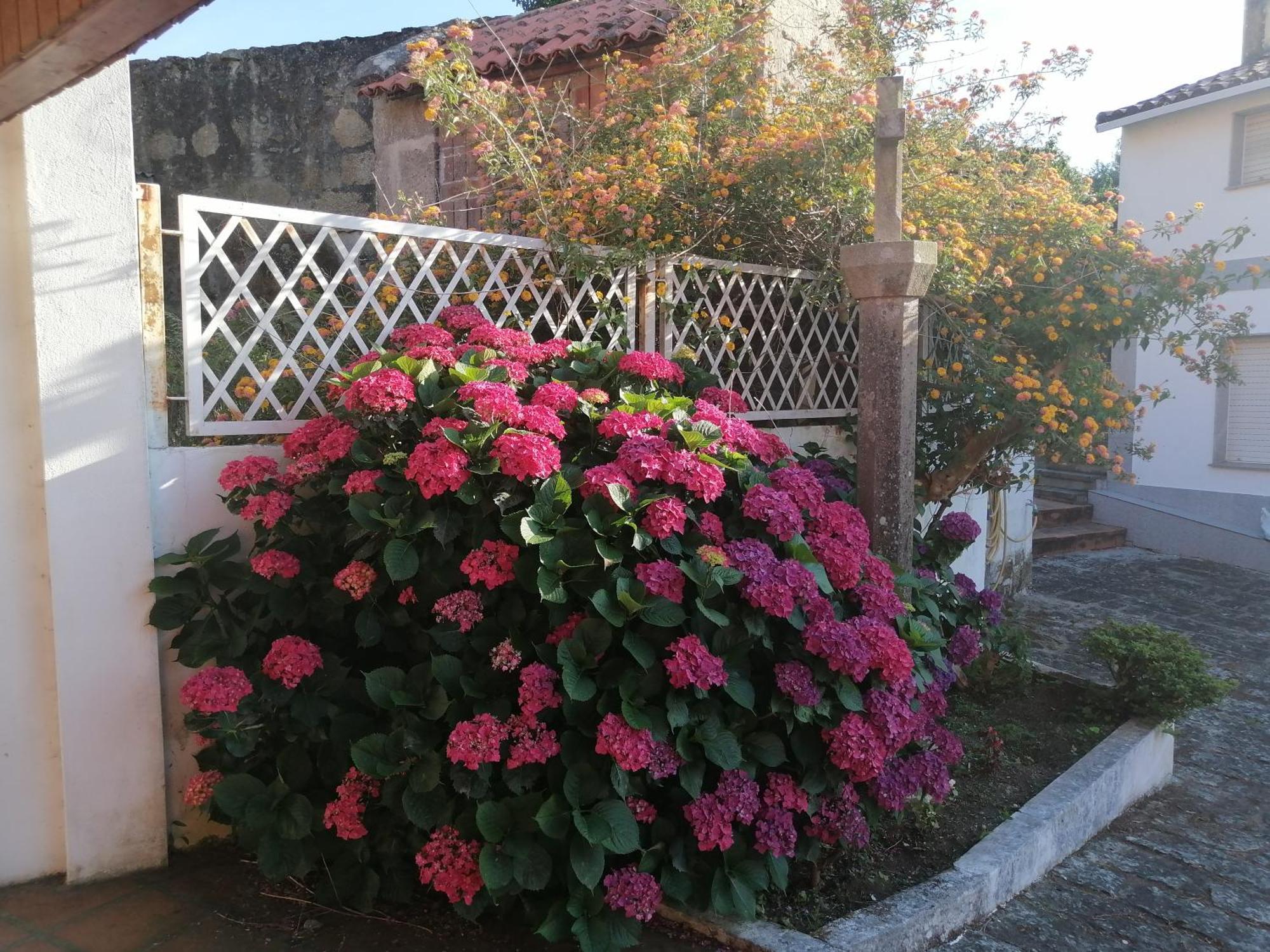 Casa Reboredo بونتيفيذرا المظهر الخارجي الصورة